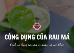 Uống rau má mỗi ngày có tốt không? Tác dụng của rau má với sức khỏe